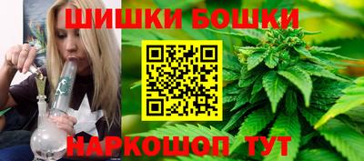 молекула духа Кингисепп
