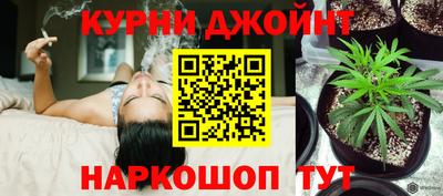 молекула духа Кингисепп
