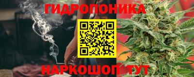 молекула духа Кингисепп