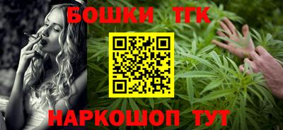молекула духа Кингисепп